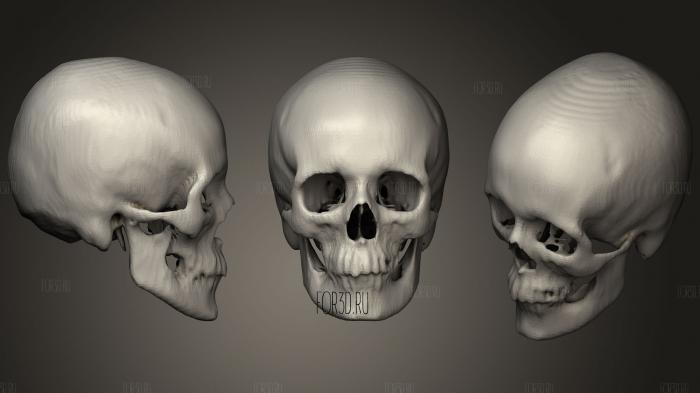 Skull Female no age stl model for CNC